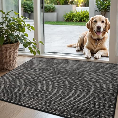 DEXI Door Mats Indoor 80 x 120 cm, Non-Slip Absorbent Dirt Trapper Mat, Thin Low Profile Doormats Inside, Washable Entrance Rug for Muddy Shoes and Paws, Charcoal Gray