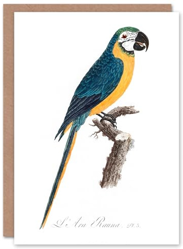 Artery8 Francois Levaillant Art Card Blue and Yellow Macaw Parrot