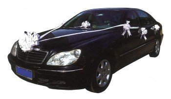 Kit de décoration de mariage pour voiture - Rose