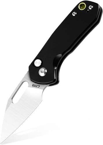 CJRB Pyrite Mini Black Wharncliffe Alugriff Exklusives Taschenmesser J1933 aus AR-RPM9 Pulverstahl mit Keramik Kugellager
