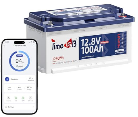 Timeusb Batterie Lithium 12V 100Ah Bluetooth H190 Batterie LiFePO4 avec Protection à Basse Température,Smart 100A BMS,Max.15000 Cycles Profonds 20,48kWh parfait pour Camping-Cars Européens DIN H8 L5