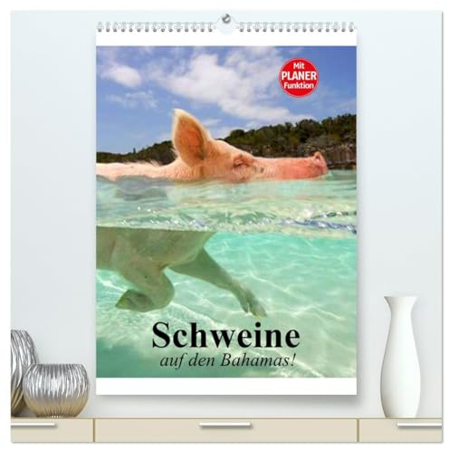 Schweine auf den Bahamas! (hochwertiger Premium Wandkalender 2026 DIN A2 hoch), Kunstdruck in Hochglanz: Schwimmende Schweine im Dauerurlaub auf den Bahamas (CALVENDO Tiere)
