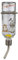 animallparadise - Biberon en Verre, Honey & Hopper. 250 ML. pour Rongeur. Chinchillas, Lapins.