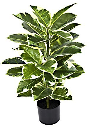 GreenBrokers Artificial 98cm Real Touch Rubber Plant in Pot