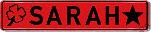 Geprägtes Nummernschild zum Selbstgestalten Witterungsbeständig Individuelles Namensschild, Aluminium-Schild | Autoschild mit Namen selbst gestalten | Aluschild, Kfz-Kennzeichen-Schilder
