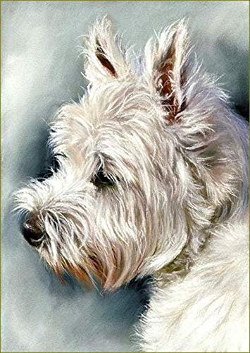 PAAANING Kits de peinture par numéros Westie pour tous âges, Peinture à l'huile, Contemporain, Blanc, Animal, Taille unique, Toutes saisons