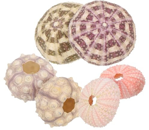 Yardenfun 6stücke Seeigel Luftpflanzentopf Kreative Blumentöpfe Mit Muscheldesign DIY-bastelbedarf Dekorative Sukkulentenbehälter Für Kleine Aquarien Und Gartenlandschaften