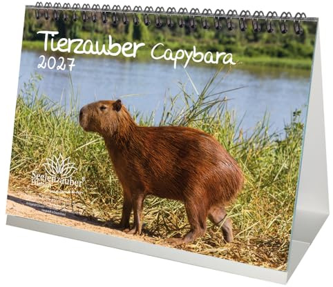 Tierzauber Capybara DIN A5 Tischkalender für 2027 Schweine Schweinchen - Seelenzauber