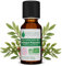 Voshuiles - Huile Essentielle Lentisque Pistachier Bio 10ml - Parfum Chaud - Réputée pour ses Vertus - Huiles Essentielles de Qualité - 100% Pure et Naturelle - HEBBD et Certifiée ECOCERT