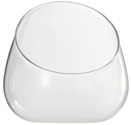 Yardwe - Jarrón de Cristal de Corte Inclinado para terrario o terrario Redondo suculento Maceta Centro de Centro para Oficina en el hogar