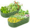 wowspeed Metal Raised Beds for Garden Vegetables 2 Packs, Green 120*60*30cm Bottomless Garden Planter Box Kit, Galvanised Raised Planters Outdoor Large, Galvanised Steel Frame for Vegetables Flowers