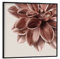 artboxONE Poster mit schwarzem Rahmen 40x40 cm Natur Dahlie Rosegold Dream - Bild Rosegold Blume Botanical