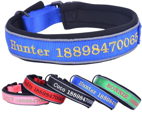 Verstellbar Breit Hundehalsband Personalisiert Bestickter Name und Telefonnummer mit Neopren Gepolstert Hundehalsband für Große Mittlere Kleine Hunde Welpe