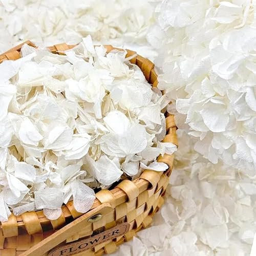 1.76oz Real Dried Lvory White Hydrangea Petals - Preserved Natural Flower Petals for Wedding Decor, Flower Girl, Party Confetti, Dinner table Centerpieces, Handcrafts