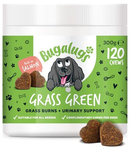 Bugalugs Grass Green Dog Supplement Chews helps support Dog Urine Neutraliser for Grass Burn with Cranberry that helps Urinary & Gut Health, Rich in Salmon, 120 Chews