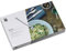 WMF Besteckkassette leer für Besteckset 30-teilig, Cromargan Motiv, Karton, 43 x 26,5 cm x 5,5 cm
