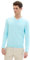 TOM TAILOR Herren Basic Pullover mit V-Ausschnitt aus Baumwolle, 34921 - Caribbean Turquoise, L