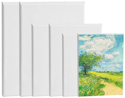 6 piezas Lienzo de pintura de artista, Lienzos de algodón, Juego de lienzo para pintar, Lienzos de algodón para pintar, adecuadas para pintura al óleo, pintura gouache, pintura acrílica