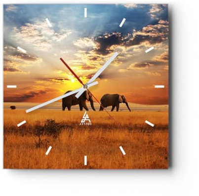 Modern Wanduhr Elefanten Safari Dschungel Busch 40x40cm Quadrat Groß Wand Uhr Glas Analog Zimmeruhren Küche Büro Wohnzimmer Glasuhr Wall Clock Dekoration Design Wanddekoration Küchenuhr C3AC40x40-3150