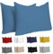 Dreamzie Kissenbezug 30x50 (Set mit 2) - 100% Jersey Baumwolle 150 g/qm Kissenbezüge -Blau - Für Kissenbezug 50x30 cm - Kissenhülle - Resistent und Hypoallergen