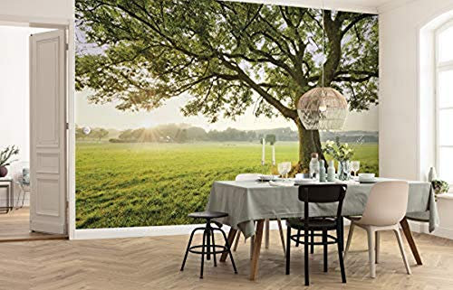 Komar Vlies Fototapete THE MAGIC TREE | Tapete, XXL, Dekoration, Natur, Landschaft, Schlafzimmer, Wohnzimmer, Büro, Flur | Größe 450 x 280 cm (Breite x Höhe) | SHX9-086