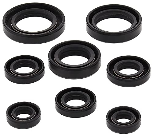 Winderosa 822255 Motor Oil Seal Kit