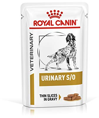 ROYAL CANIN Urinary S/O Veterinary Health Nutrition Dog Food 48 x 100g Wet Slices