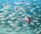 Fischschwärme - Kalender 2025 - DUMONT-Verlag - Fotokunst-Kalender - Wandkalender - 60 cm x 50 cm