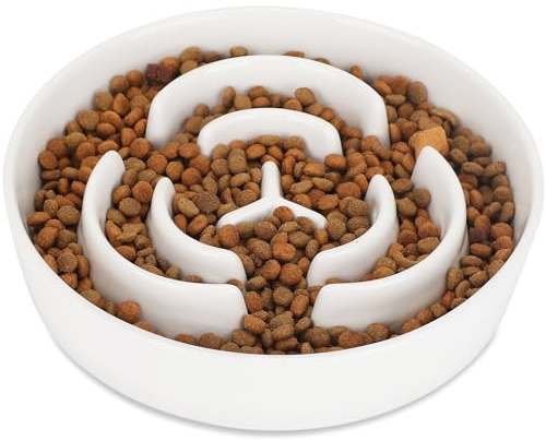 IDOGCHEW Gamelle Anti Glouton Chien Céramique (1L, Diamètre 20.5cm), Bol Chien Grand Moyen Petit pour Manger Lentement