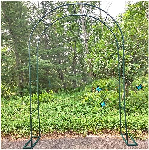 Rusoof - Pergola da giardino in metallo, per piante rampicanti, pianta rampicante, pergolato extra largo, con motivo a rose, decorazione per matrimoni, 350 x 220 cm, colore: nero