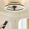 NIORSUN LED 40 cm Ventilateur de Plafond avec Lumière, 3 Températures de Couleur et 6 Vitesses,Ventilateur de Plafond avec Telecommande/Application Mobile,Design Rond Silencieux et Dimmable,Noir