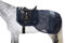Eskadron Fly Exercise Sheet Fliegenausreitdecke Navy Classic Sports FS 2020 L (145 cm)