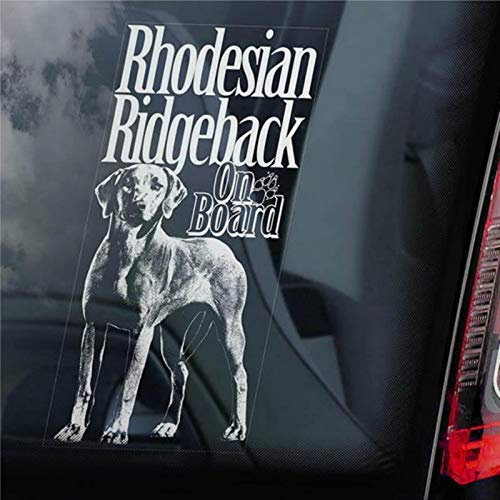 Rhodesian Ridgeback on Board Autoaufkleber afrikanischer Löwe Hund Schild Aufkleber Auto Aufkleber Vinyl Aufkleber Fenster Aufkleber Stoßstange Aufkleber