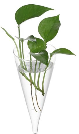 Cabilock Klare Glasvase Kreisförmige Kegel Wandbehang Vase Blumenvase Flasche für Pflanze Blumen Dekor Arrangement für Schlafzimmer Küche Wohnzimmer Büro