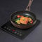 Panana Induction Hob, Induction Cooker Countertop Burner with Sensor Touch 2000 Watts, 9 Temperature Levels, 9 Power Levels, Timer, Child Safety Lock (Single Portable Table Top Hob)