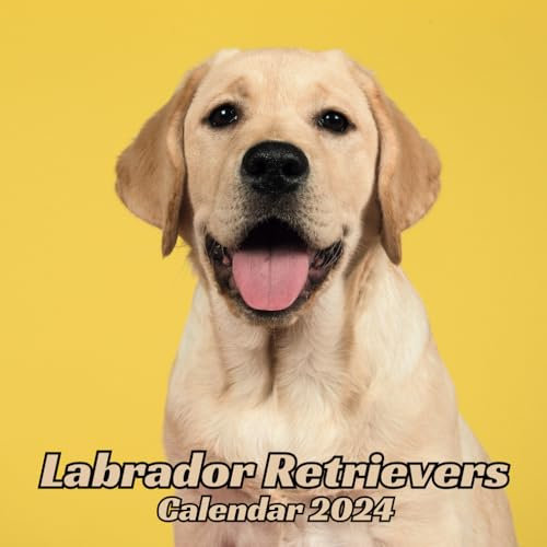 Labrador Retrievers Calendar 2024: 12 Months Organizer For Home & Office Organizer From January to December