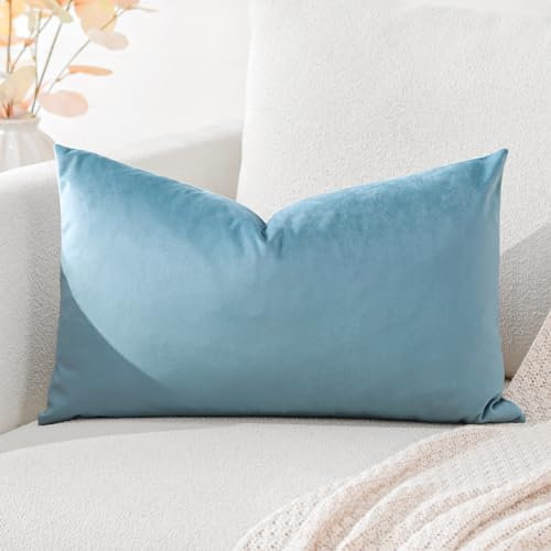 Artscope Luxury Velvet Cushion Covers Super Soft Decorative Throw Pillow Covers Case Lumbar Cushion Cases for Sofa Couch Bedroom Car Decor 30x50cm Light Blue