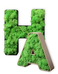 Buchstaben und Zahlen mit konserviertem Islandmoos | Moosbild