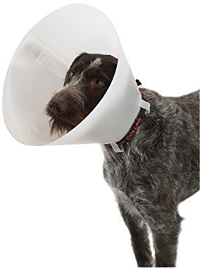 Buster, Collare elisabettiano a Imbuto Classico