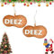 Deez Nüsse Ornament Einzigartige Erdnuss Hängende Dekoration Baumschmuck Lustige Neuheit Nuss Weihnachtsbaum Ornamente 3D Acryl Nuss Anhänger Für Weihnachtsbaum Tür Dekor (planar+3D)