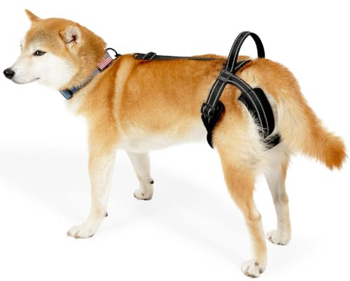 Imbracatura di Sollevamento per Cani, Gilet Riabilitazione per Cane Regolabile, Cinghia di Supporto Riflettente per Zampa Posteriore per Cani
