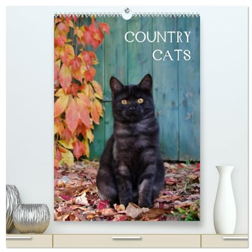 COUNTRY CATS (hochwertiger Premium Wandkalender 2026 DIN A2 hoch), Kunstdruck in Hochglanz: Bezaubernde Katzen fotografiert auf dem Land und in Bauerngärten. (CALVENDO Tiere)