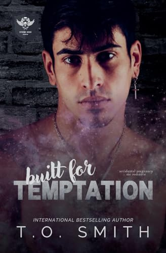 Built for Temptation (Storm Hogs MC, Band 3)