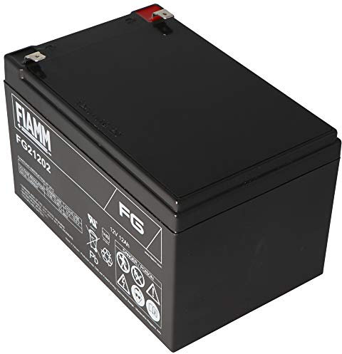 FIAMM FG21202 Batteria 12 Ah