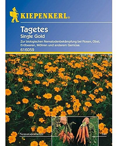 Kiepenkerl, Tagetes, Nematodenkiller, Single Gold