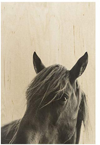 Bilderwelten Holzbild - Neugieriges Pferd, 60cm x 40cm