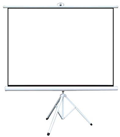 BGFYUSF Projection Screen 60-100inch with Stand Indoor Outdoor Portable Mobile Projector Screen Fabric Floor-Standing Pull Down