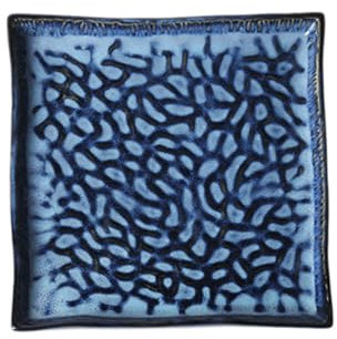 Hoement Embossed Ceramic Sushi Plate 8.8 Inch Square Dish for Serving Fish Pasta and Fruits for Home and Restaurant Use