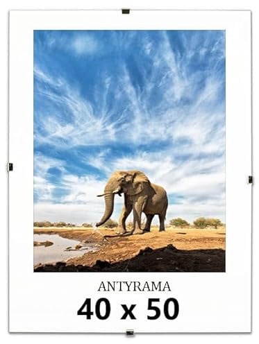 M-interio Rahmenloser 50 x 70cm Bilderrahmen Bildhalter Cliprahmen Fotorahmen Kunstglas Plexi für Wohnzimmer, Esszimmer, Küche,Fotos Poster viele Größen Rechteckig mit Clips