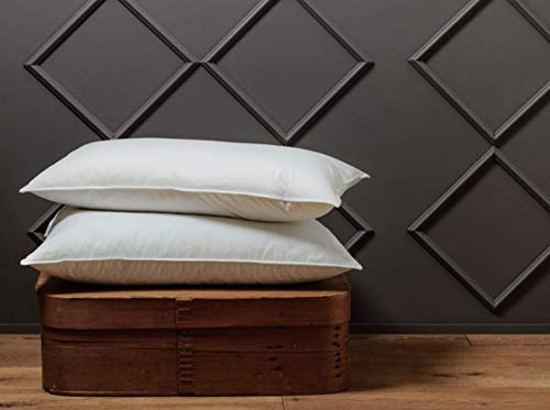 Die Zudecke 100% Canadian Goose Down Pillow